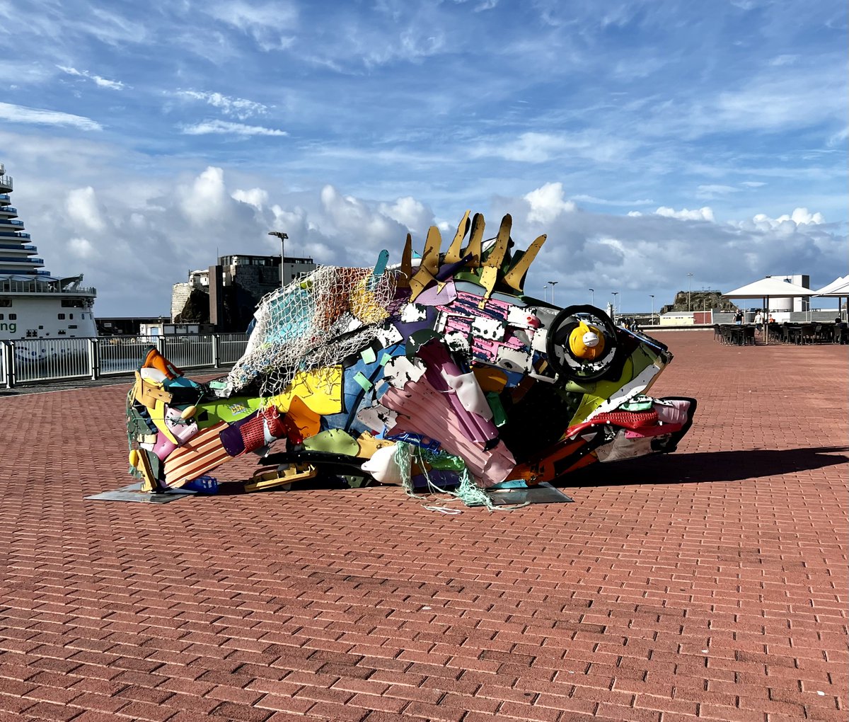 theofficialira's tweet photo. It's the famous "Mr. Trash Fish" in Funchal (I'm just guessing that is his name)
#trashfish #madeira #portugal #madeiraportugal #madeiraisland #digitalnomad #digitalnomads #digitalnomadlife #digitalnomadlifestyle #travel #Travelgram #traveling https://t.co/PAIzVfmMsX