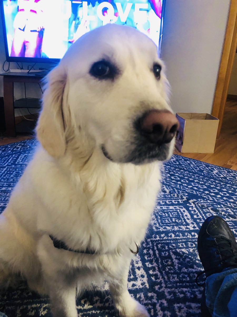 Good Wednesday Morning!🌞