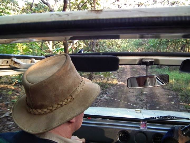 albicilla66's tweet photo. I was not born for one corner, the whole #world 🌏 is my native land, to #travel ✈️ - #birding 🦜, #beering 🍺 and #blogging 💻 about it
➡️https://t.co/j8praALDHt
#gobirding 🦩 #birdingtourism 🗺️ #turismornitológico 🇨🇷 #ecotourism 🦥 #ecotravel 🛖
📷 @ #GirNationalPark https://t.co/z5nxZd0WWV