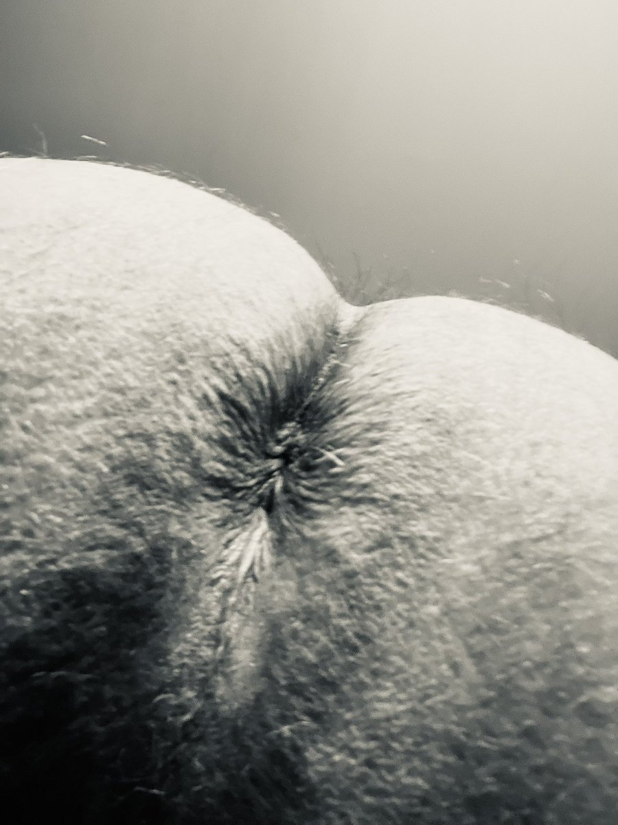 Leather_Cub_89's tweet photo. Needs breeding 🤷🏻‍♂️🤷🏻‍♂️ https://t.co/jzvgi7dP4s