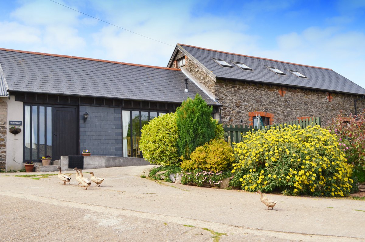 sdevonbiz's tweet photo. Looking for a #staycation? Traine Farm, Wembury have some #lastminute availability in #june https://t.co/hvzbntMTZS
#southdevon #staycation #treatyourself #youcouldbehere #beachlife @visitsouthdevon @Wembury @SouthHams @jobutler22 @Loucuplym @sydvoisey @tiabryantphoto https://t.co/alORtH4OVj