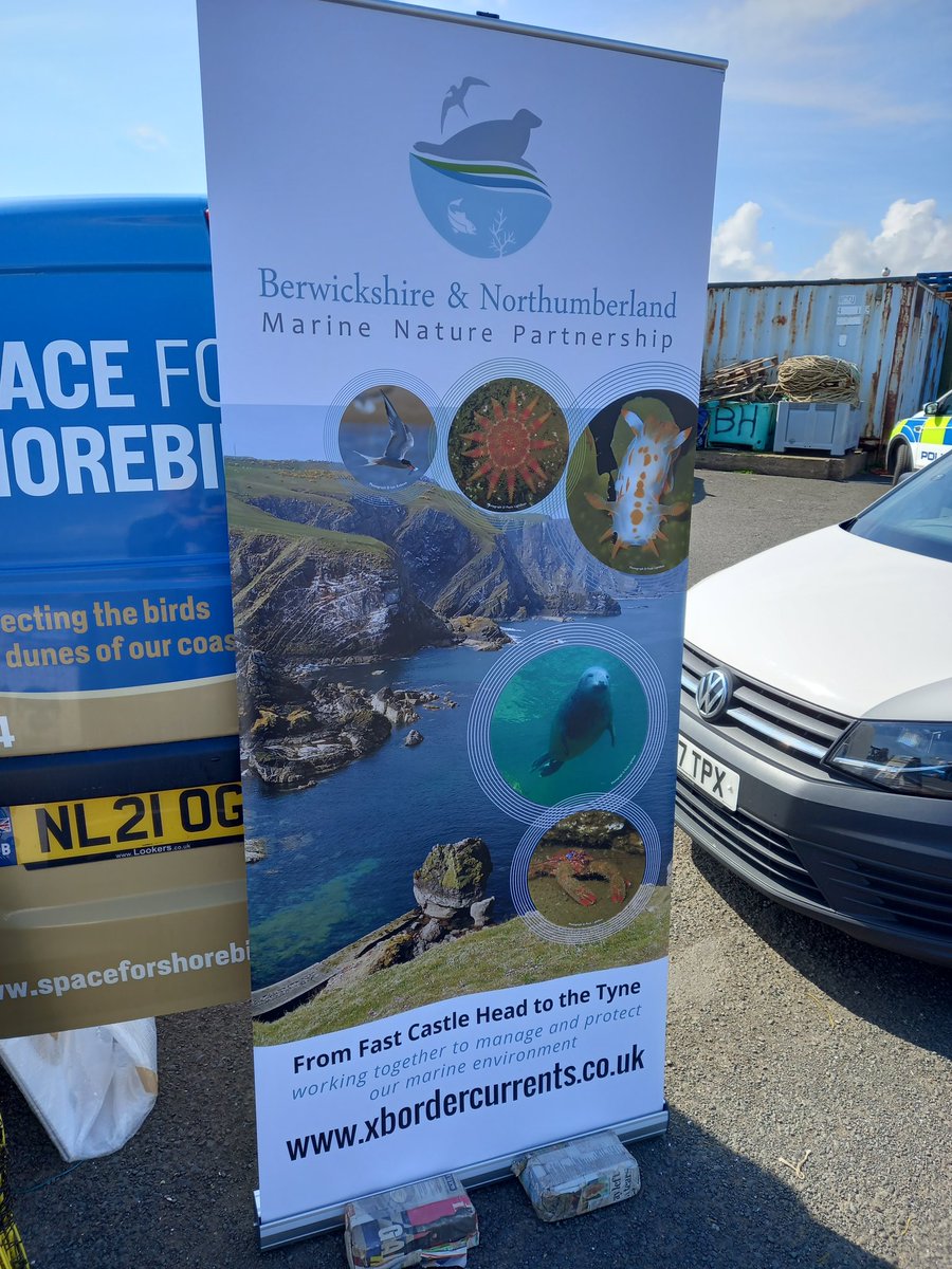 We're  at Amble Harbour today for #opseabird together with lots of our partners including @N_IFCA @ForShorebirds @NTNorthd_Coast ,@Natures_Voice ,@The_MMO