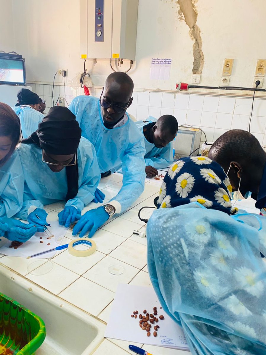 Inspection phytosanitaire