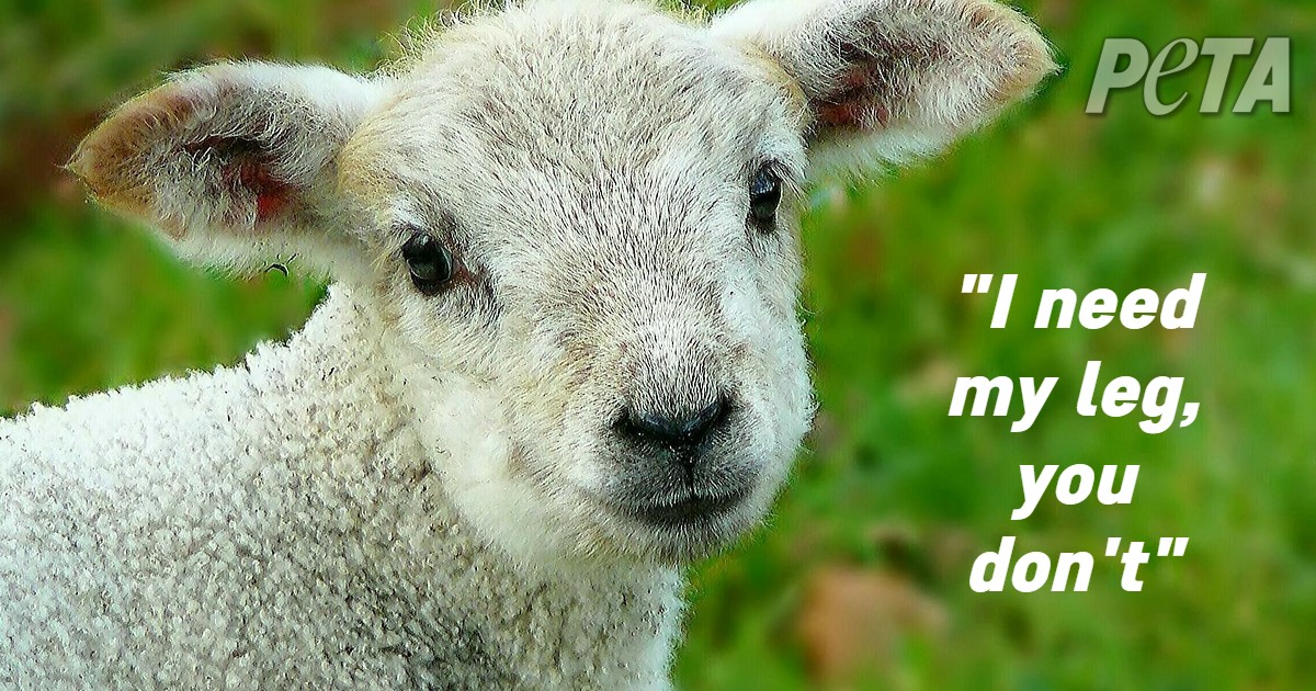 Eat plants, not body parts.