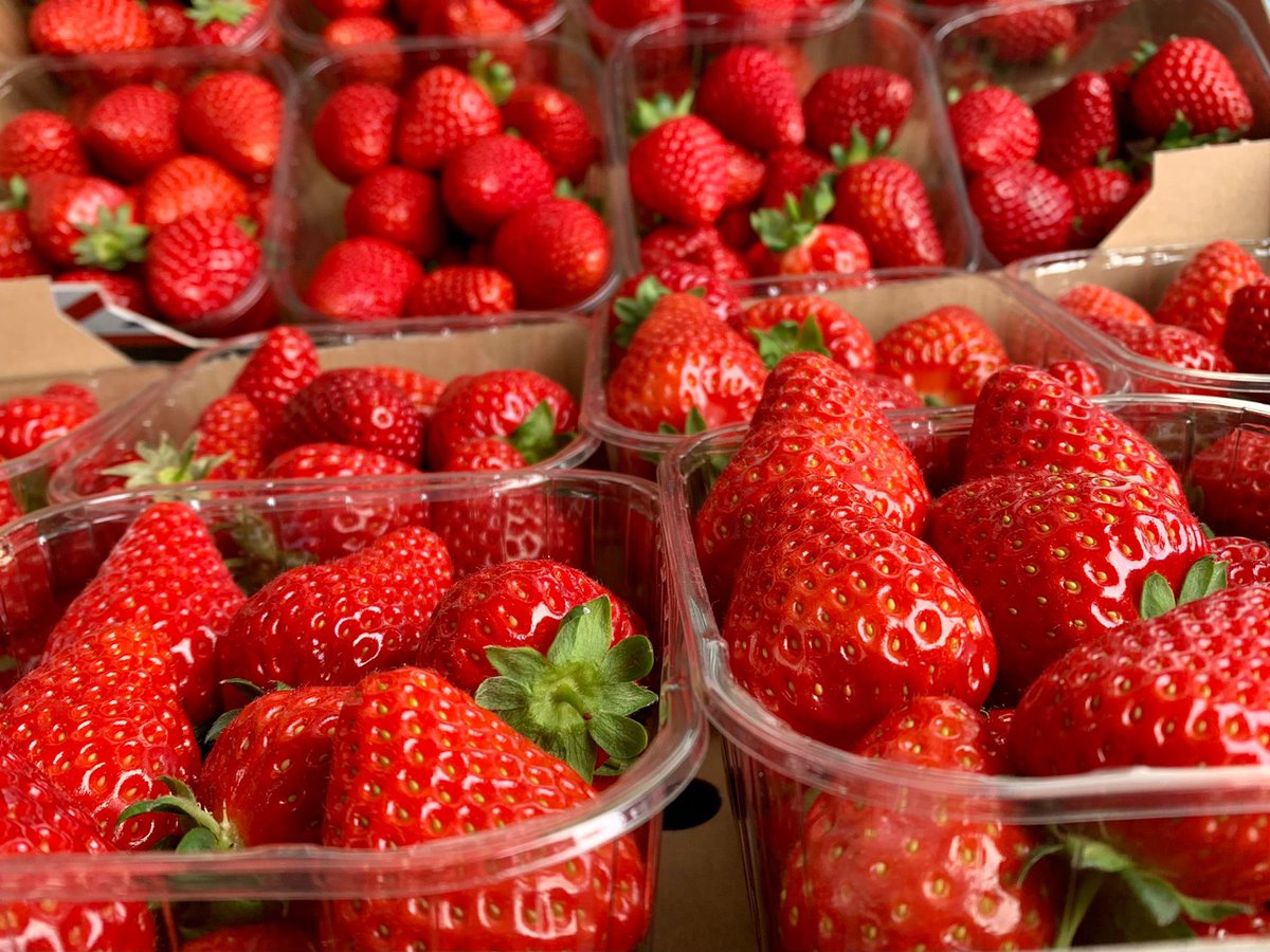 JURASSICMEATS's tweet photo. NEW in our Farm Shop! These beauties from Cheddar, Somerset 🍓🍓🍓 Order online via link in bio or visit us in-store at DT2 8DB 😍 #JCFS #Strawberries https://t.co/ghBoPDi5H2