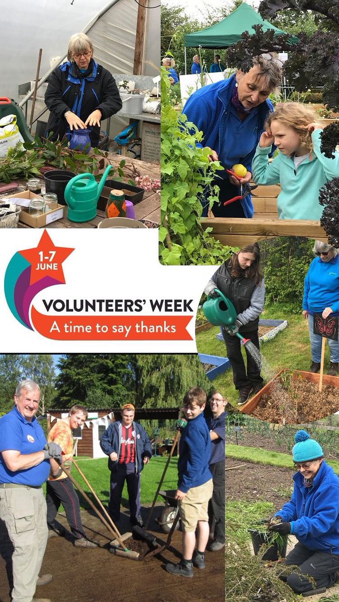 therapy_gardens's tweet photo. Volunteer week 1-7 June A big THANK YOU to all our wonderful volunteers who dedicate their time to helping The Therapy Garden! We couldn’t do what we do without you. https://t.co/MNw97GjEhz