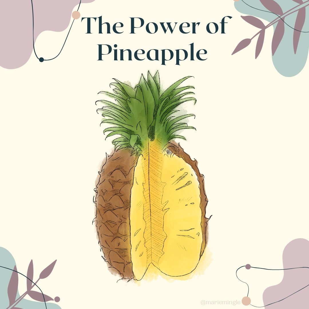 mariemingle's tweet photo. Learn more about the powers of Pineapple 🍍 and it's powerful digestion enzyme; Bromelain!⁠
⁠
As the core contains a higher concentration of bromelain, it can be hard to extract and consume; by juicing the core when its at its softest (ripest) you can extract it with ease.⁠ https://t.co/VgYCcBqxRD