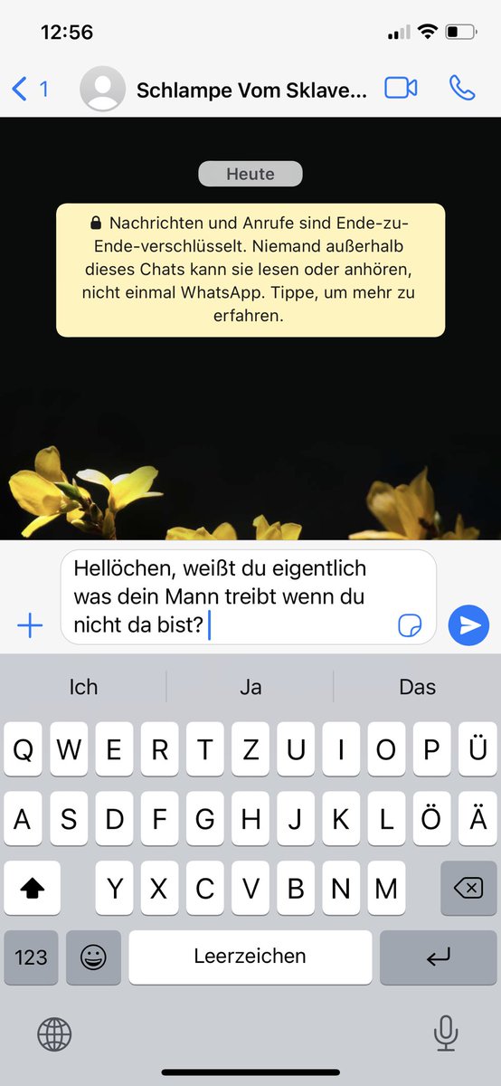 Das kann ja lustig werden 😄

Pech.