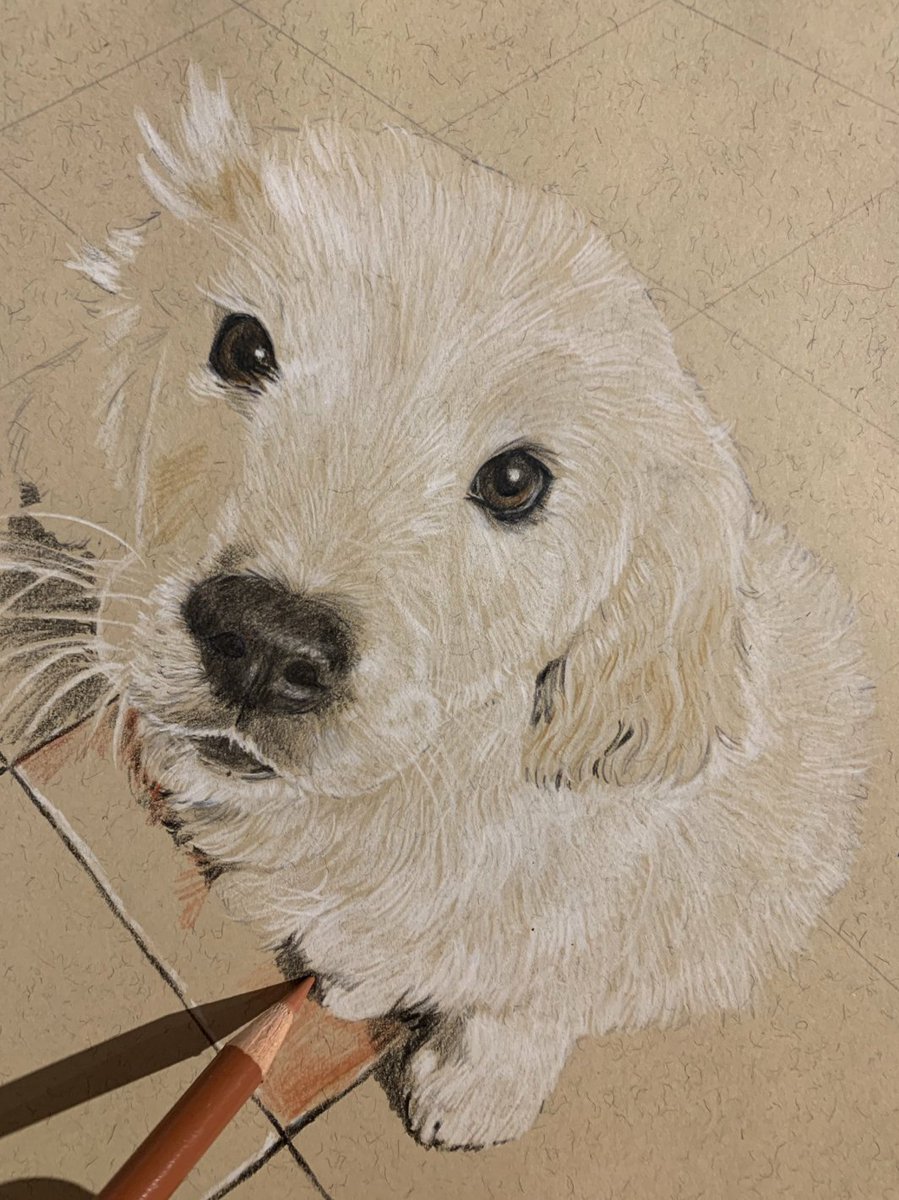 Drawinglives's tweet photo. Take a look at this cute puppy #wip drawing by @SandRussellArt 😍 Adorable!! We can't wait to see the finished piece ✏️
This is our #drawingoftheweek ❤️ Tag @Drawinglives to share your beautiful work with us & our audience👍 https://t.co/n9ej3L4l3u