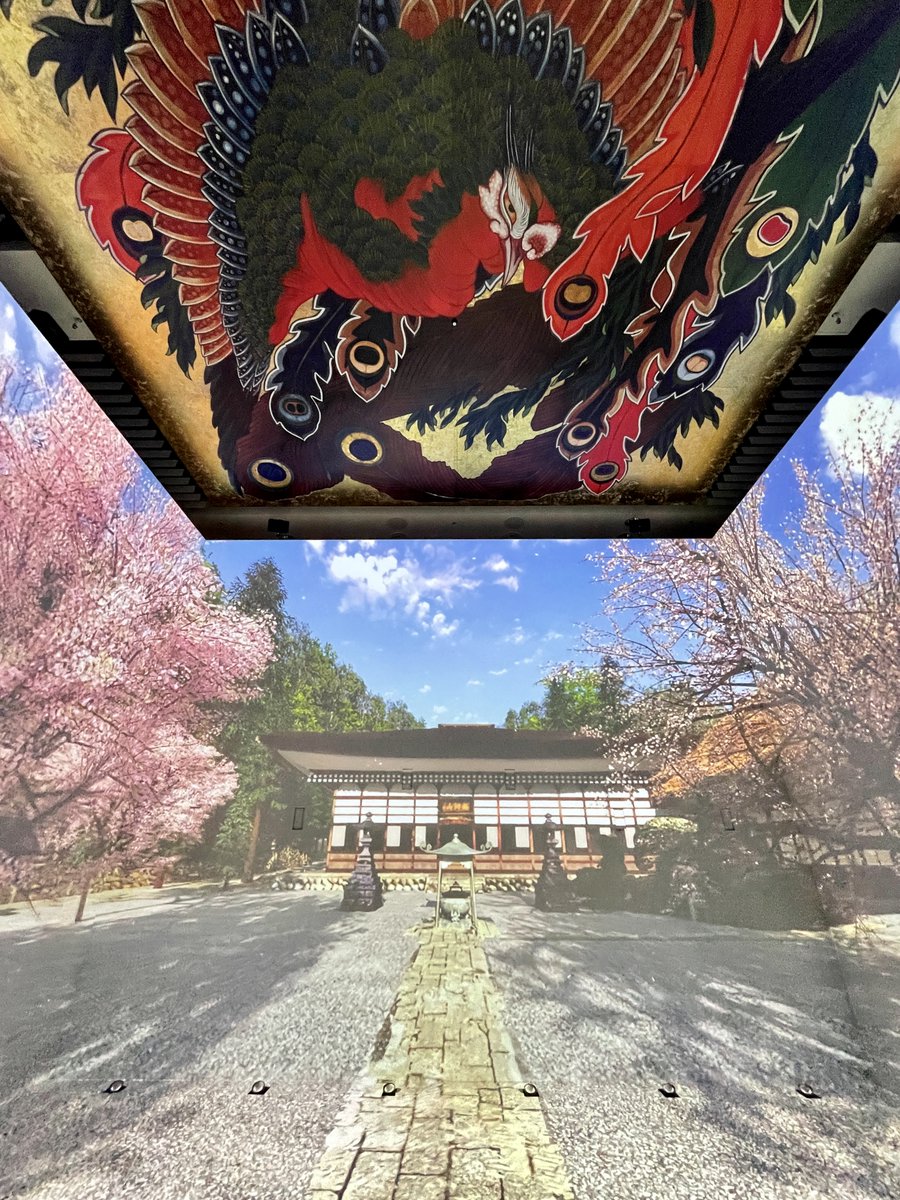 bijutsutecho_'s tweet image. 【「Digital×北斎」特別展「大鳳凰図転生物語」がスタート】
bijutsutecho.com/magazine/news/…

長野県・小布施町の岩松院本堂大間にある葛飾北斎作の「鳳凰図」をデジタルデータによって実物大で再現する特別展「大鳳凰図転生物語」が、NTTインターコミュニケーション・センター[ICC]で開幕しました。