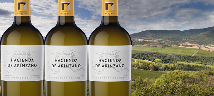 Spanish Wine Lover tweet media