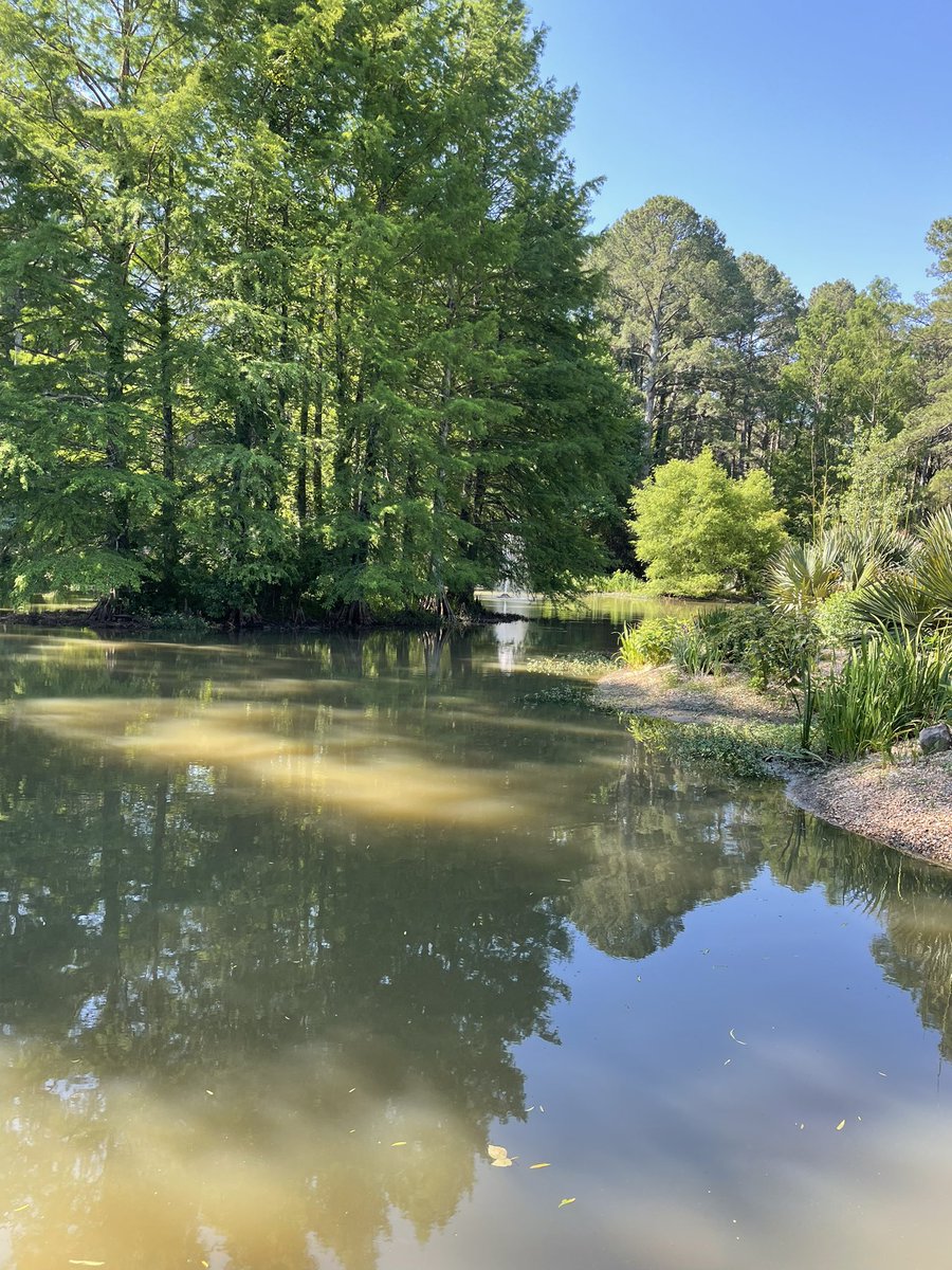 Melanie Johnson tweet media