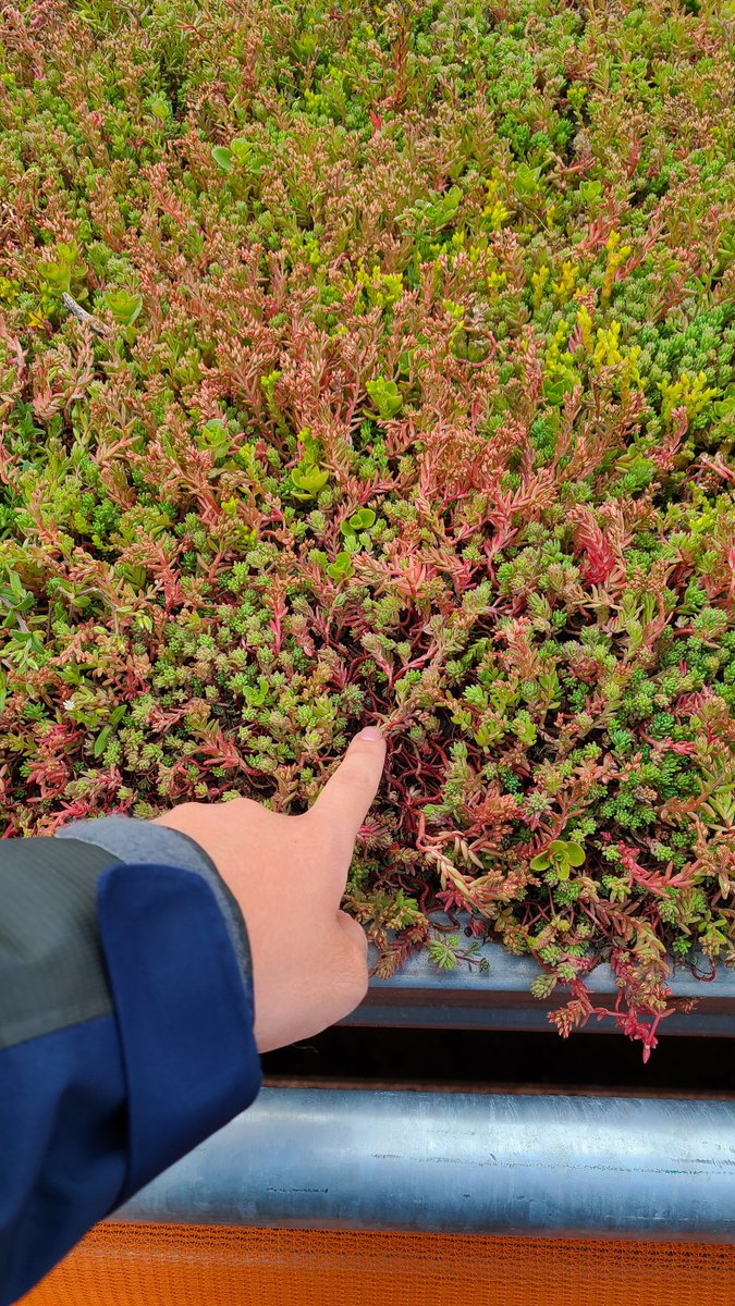 Touching grass? (Day 10)
Rotterdam Skybridge Edition

<a href="/pogdotearth/">Proof of Grass | POG.EARTH (草, 草)</a>