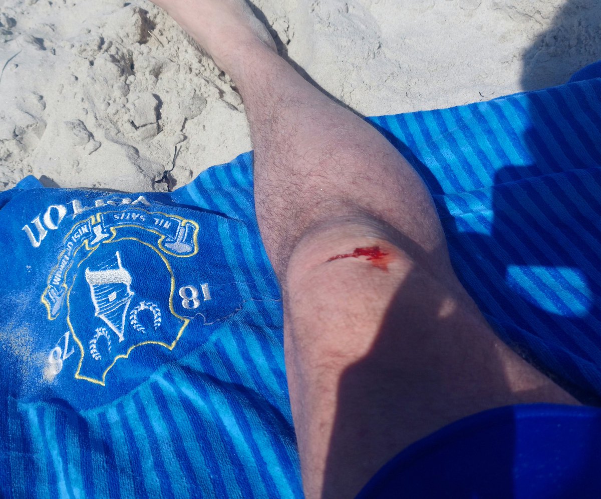 WillRN78's tweet photo. A short story.
Found a message in a bottle on a deserted beach.
Smashed it open (carefully and safely) to read the message.
It was some old woman's ashes who died in 2017.
I cut my knee on the glass.
The end.
#Curiosity #hauntedforever
#spirit #beach #shortstory https://t.co/cZlTWakzcV