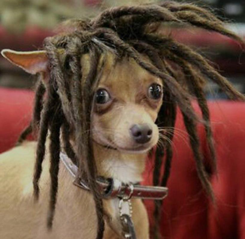 joashadali18's tweet photo. Wangamba oyagala ba Rasta man🥺 https://t.co/7tCufiLoH4