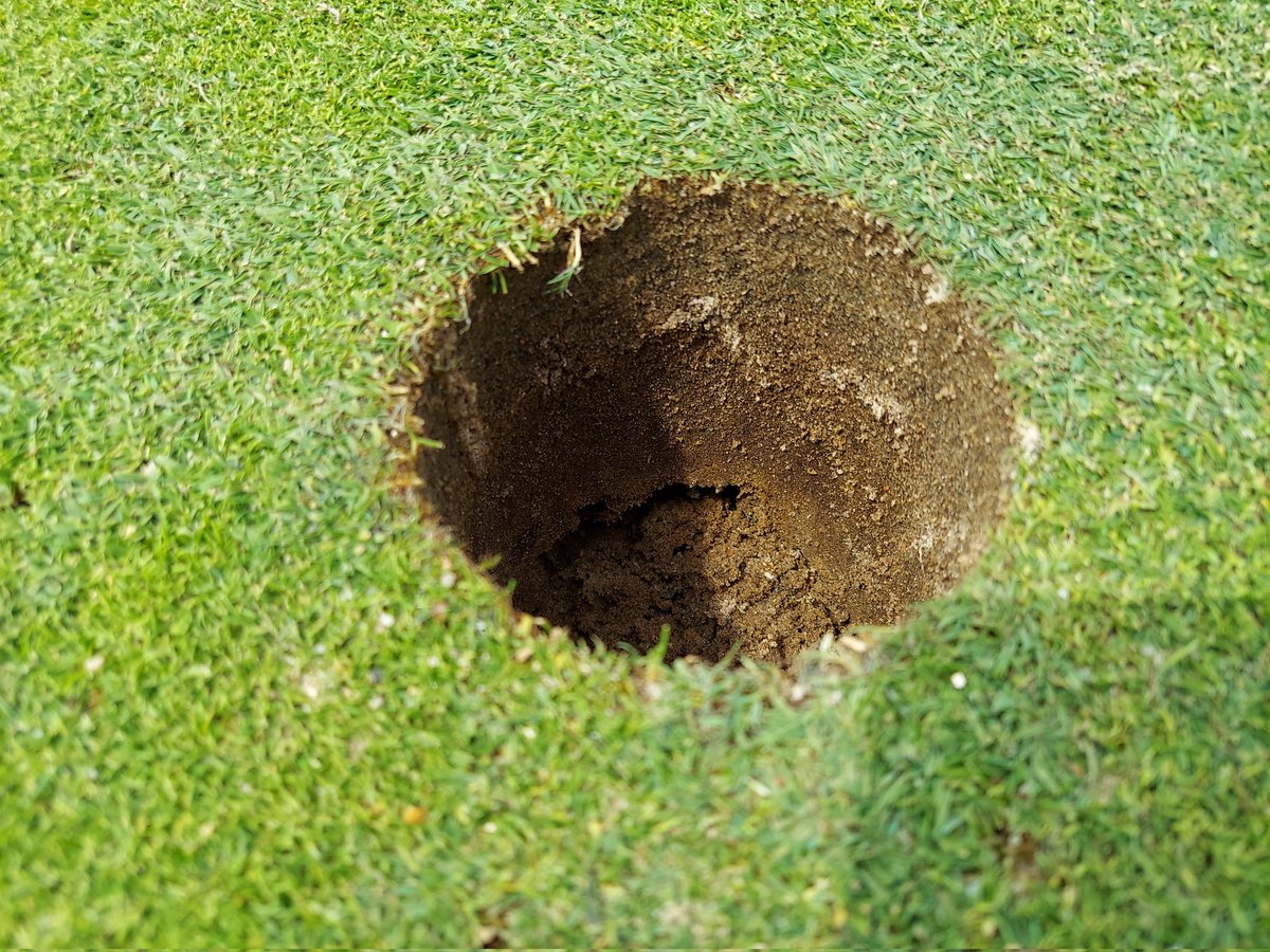 Chuck Barber tweet media