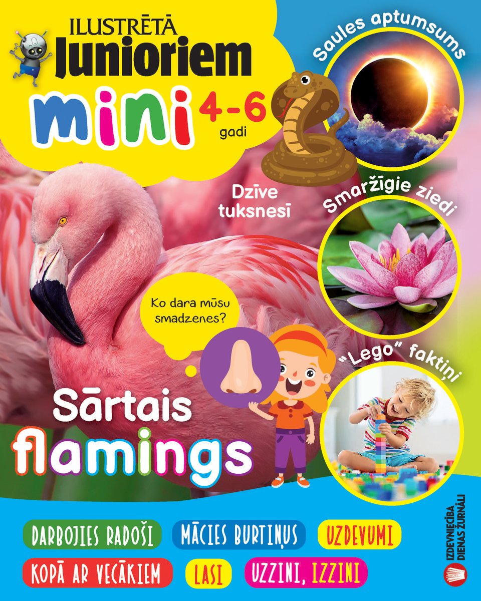junioriem's tweet photo. Iznācis @junioriem MINI jūnija/jūlija numurs! Šoreiz:
• Iepazīstam sārtos flamingus 
• Noskaidrojam, kā darbojas mūsu smadzenes
• Plakātā delfīns
• Kāpēc metas zosāda?
• Vai simtkājiem ir 100 kājas?
Radošie darbiņi, bilžu mīkla un konkurss!
https://t.co/mW2rIHWF50 https://t.co/8QdAcfHALF