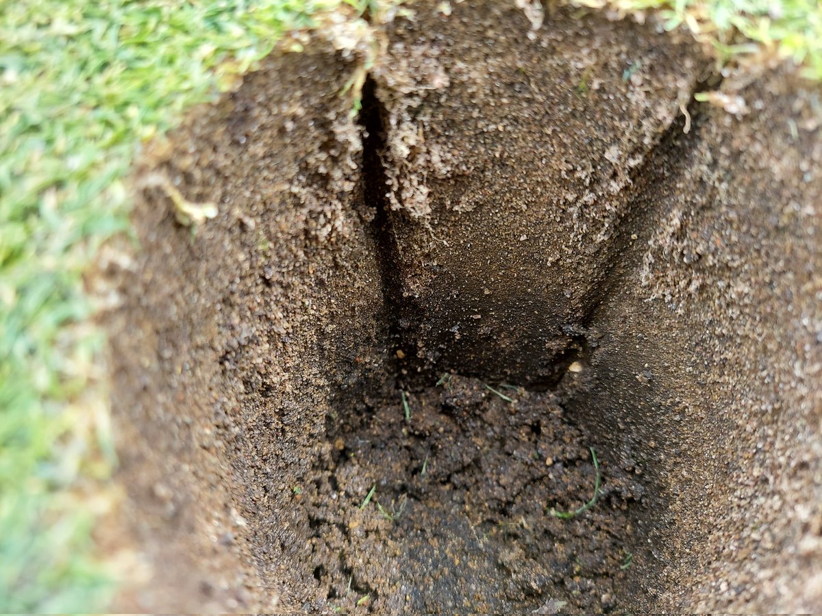 Chuck Barber tweet media