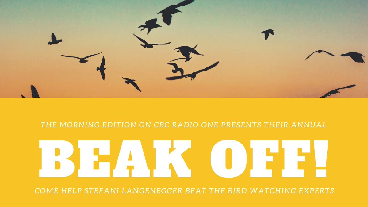 Friday, I need your help. <a href="/trevorherriot/">trevor herriot</a> and @Jaredthebirdguy will be in Wascana Park trying to find as many species of birds as they can between 6 and 8:30 a.m. but I'm in studio so if you see a bird during that time, can you please tell me? There are CBCish prizes #TeamStefani