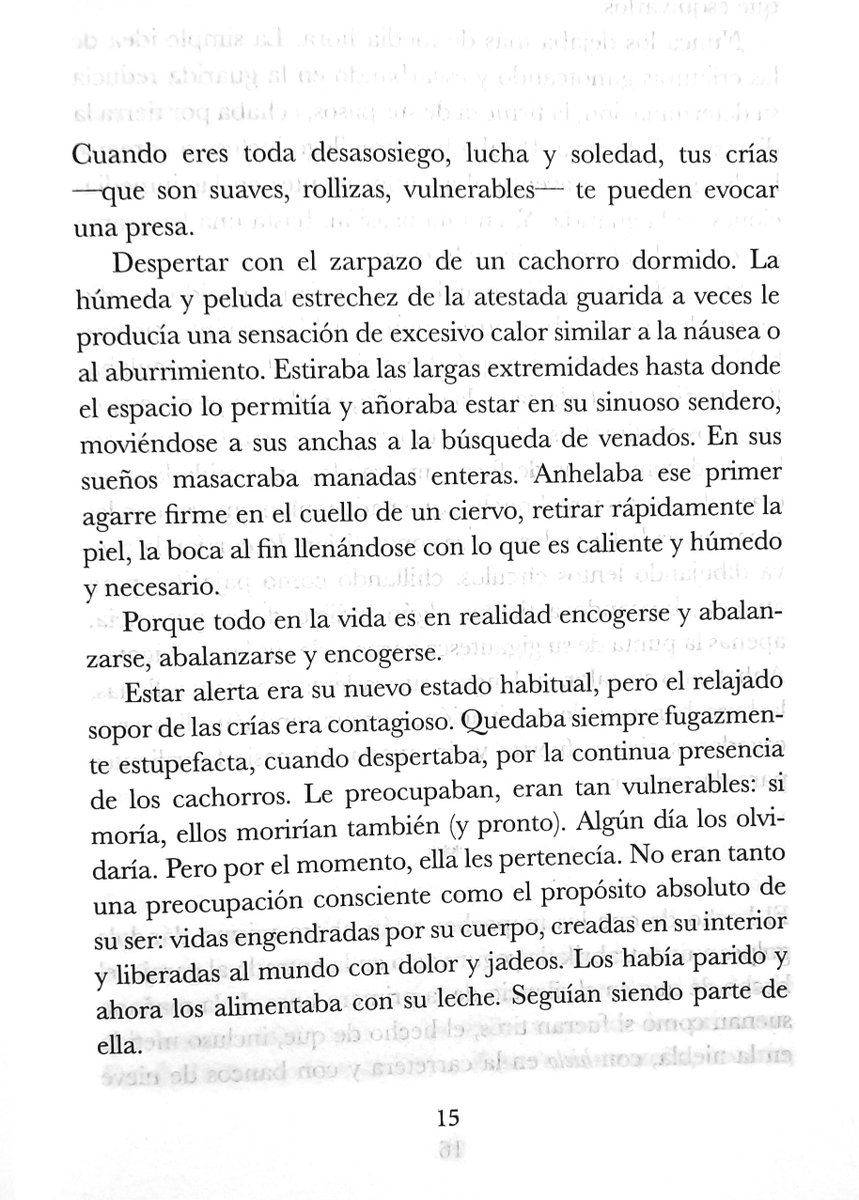 zor_jack's tweet photo. Acabo de recibir esta maravilla automática y...
Eh...
Bien. Tengo que reconocer que hasta que no lo he tenido entre las garras pensaba que era una broma. 😂🥰
#PatosNewburyport
#LucyEllmann
Trad. Enrique Maldonado Roldán
🤖 @AutomaticaEdit 🖤 https://t.co/RjKO2VY09c
