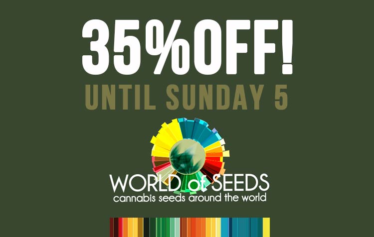 🤯 35% Off until Sunday 5 🤯 

Worldofseeds.com