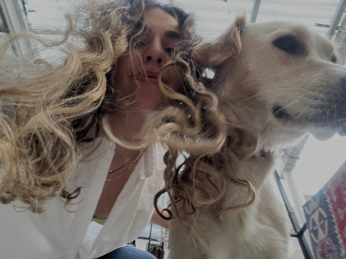 hbeyz__'s tweet photo. Harika bi insanin köpeğine süper bağımlı olmus olabilir miyim? 2 gündür fotoğraflarına bakıyorum btw she’s pretty @cokdusunmemek <3333 https://t.co/SEEP4QdBNW