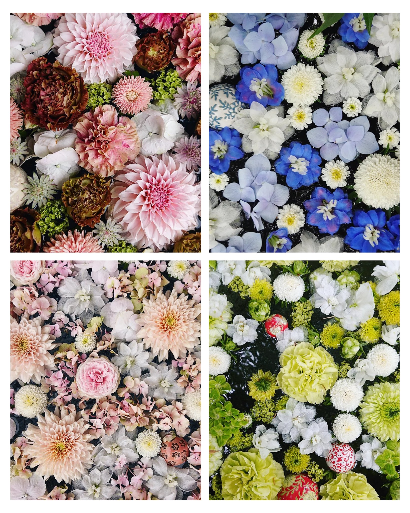 おつきさま 行田八幡神社 お花の入れ替えが終わって6月の花手水をみてきました 夏らしい涼やかなお色から元気なビタミンカラーまで色とりどりです 限定御朱印もいただいてきました ライトアップもいってみたいな 楽しい１日でした 行田八幡神社