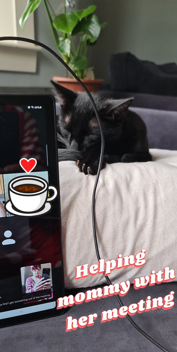 MrMAGIC72014978's tweet photo. Mommy is doing her #NA meetings and I'm being super cute so she feels safe and at ease so she can do her stuff , she did just do a #Share and she is proud of herself I'm proud of her too 
#RecoveryIsPossible #CatsOnTwitter #TherepyKitten #RecoveryPosse https://t.co/cLcGhvrkJ9