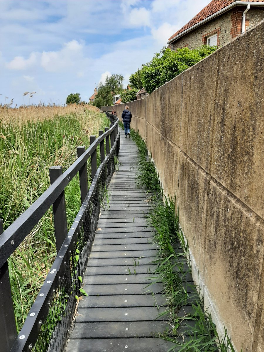 Well done <a href="/EnvAgencyAnglia/">EnvAgencyAnglia</a> added benefits of the #flooddefences a fabulous walkway that connects lovely #Cley with the reedbeds
