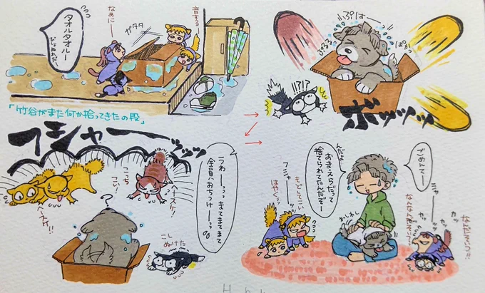 ゴネンわんにゃんズまとめ④🐱🐱🐱🐱🐶

⚠️なんでも許せる人向け
⚠️ケモ化

tkyがまたなんか拾ってきた編 