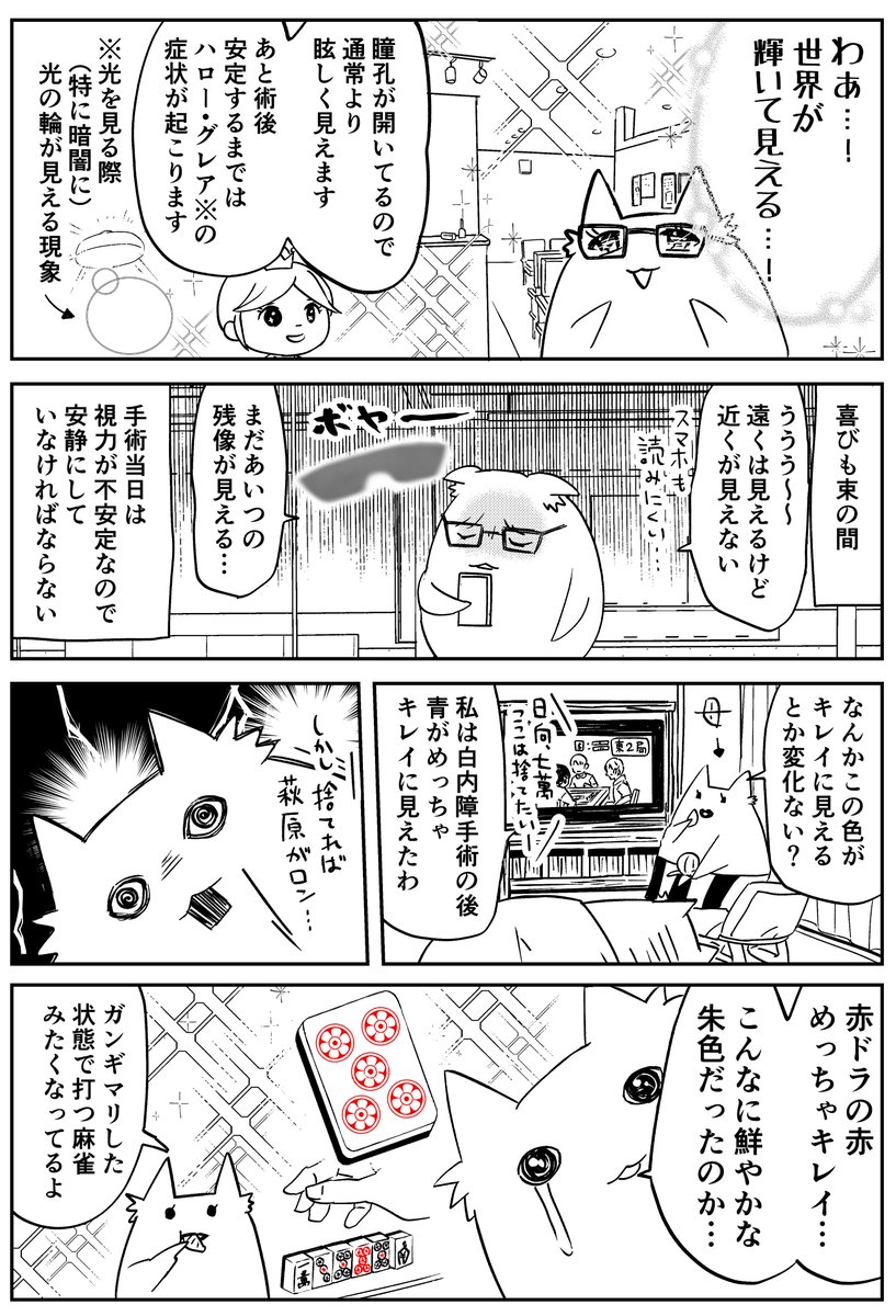 ICL(眼内コンタクトレンズ)手術受けましたレポ漫画(2/2) 