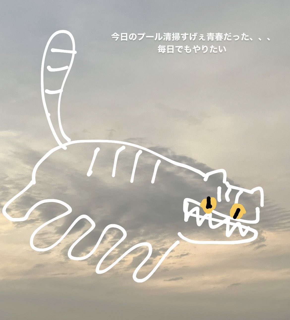 めしの ネコバスみたいだった雲 今日のプール清掃すごく青春だった ネコバス ジブリ 雲 空 手書き イラスト Illustration Art T Co Qq58ktnxud Twitter