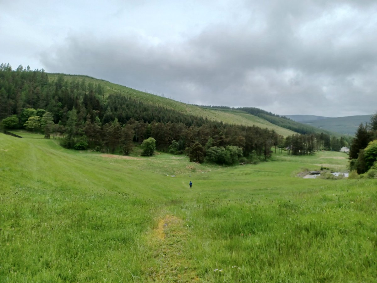 Out at the top of the Tweed yesterday with @JarcherP starting something exciting with temperature monitoring. Despite the wet weather it was a good day of fieldwork.