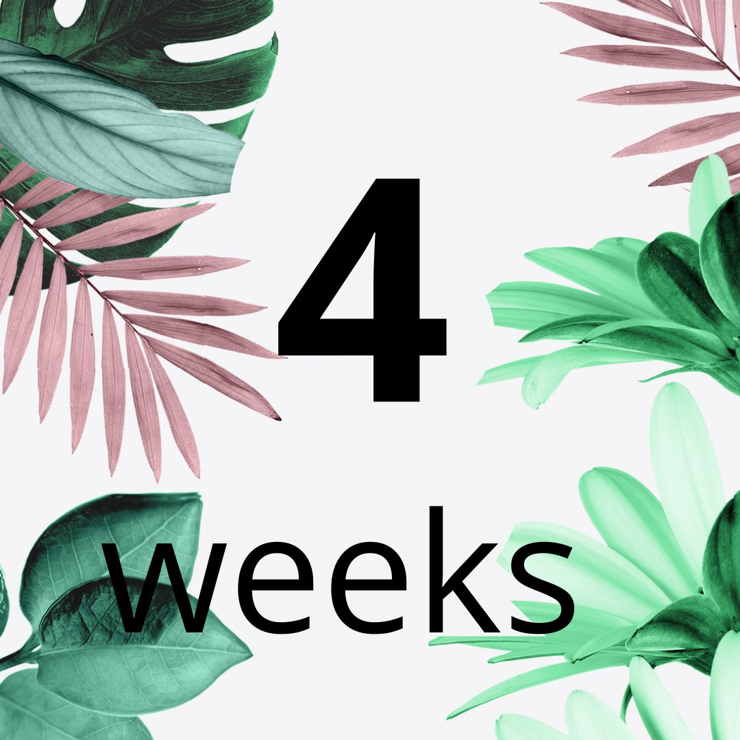 PrimusOfficial's tweet photo. Only 4 weeks left until the Glee garden and outdoor living trade show.

It is the UK’s leading garden and outdoor living trade show presenting the most exciting brands, innovative products and inspiring garden retail insights.

Wil you be joining us?

#tradeshow #glee2022 https://t.co/gZPRMLLaj0