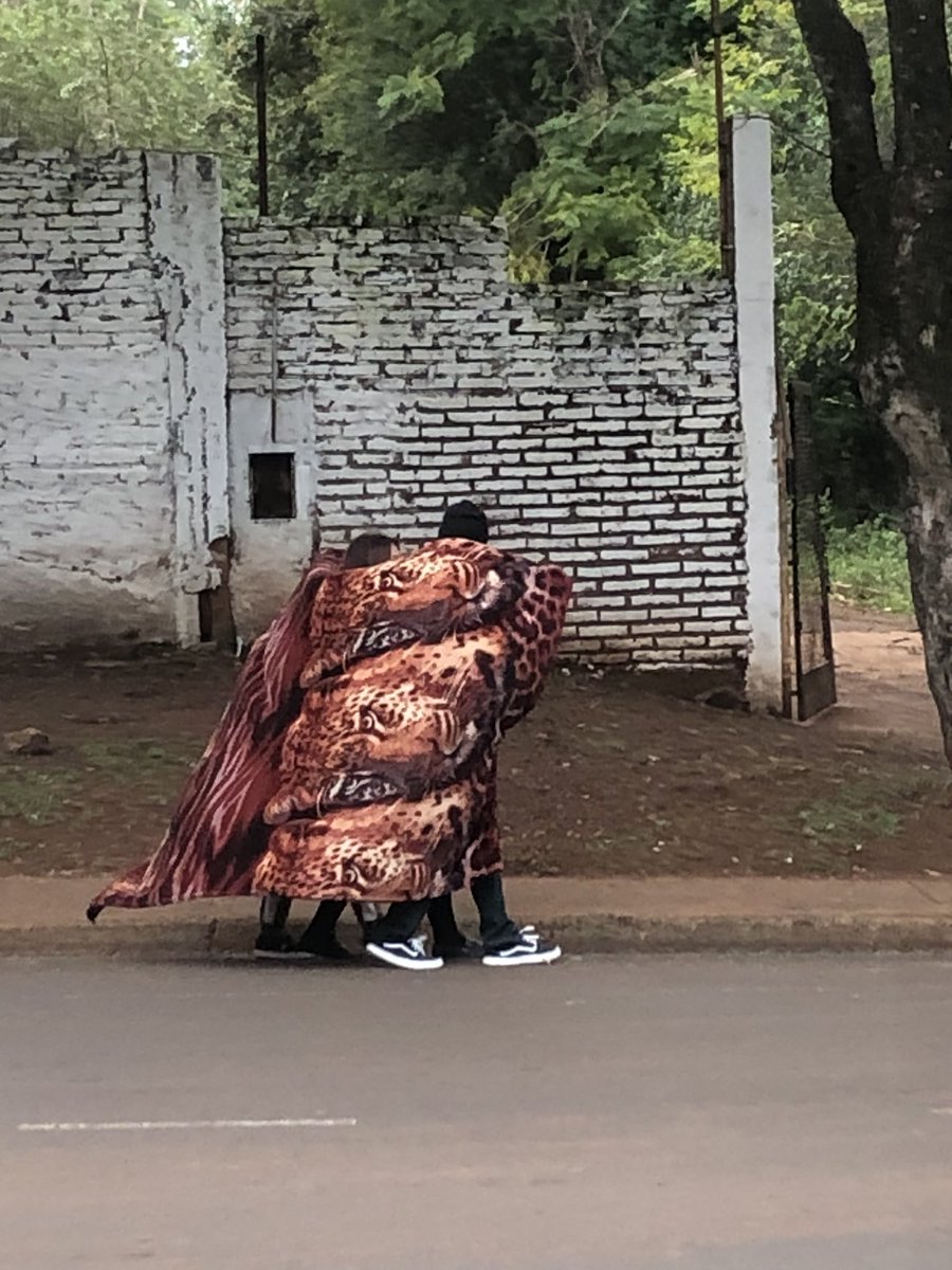 CamiiFasce's tweet photo. Misiones, no lo entenderías… https://t.co/1WKJPsBkqL