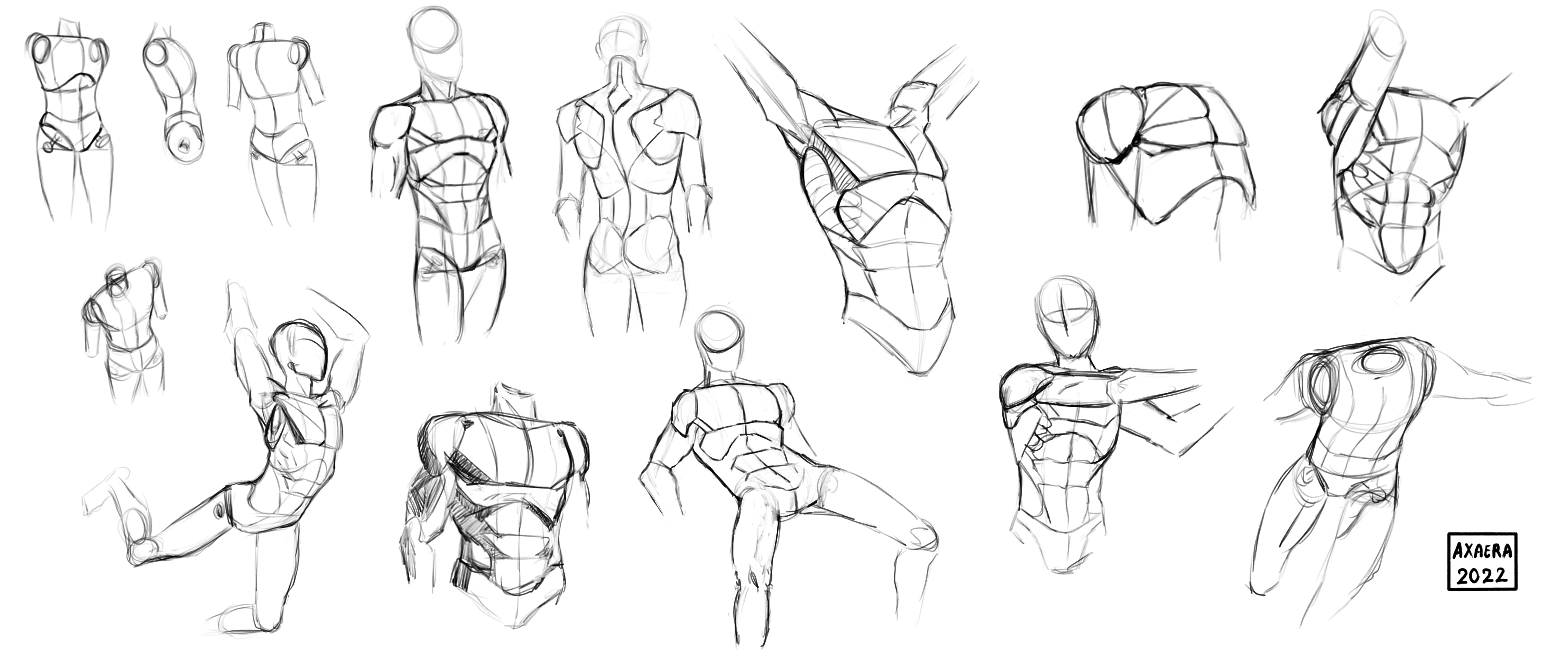 Male anatomy doodles and such - - - #Manga #mangaart #mangasketch