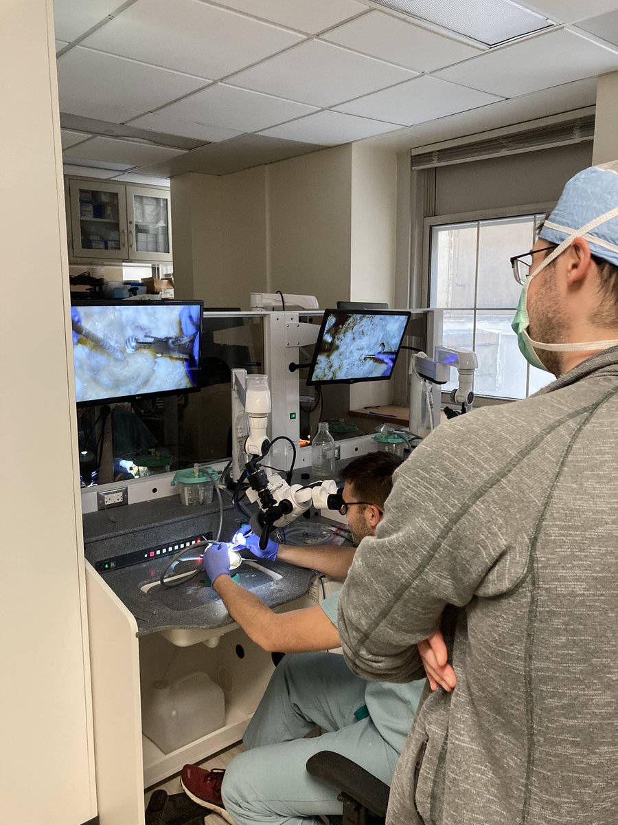 Ted Imbery (@tedimbeary) on Twitter photo Action shots from last nights <a href="/UChicagoOHNS/">UChicagoOHNS</a> resident #temporalbone dissection working on the cortical mastoidectomy #bonedust Action shots from last nights <a href="/UChicagoOHNS/">UChicagoOHNS</a> resident #temporalbone dissection working on the cortical mastoidectomy #bonedust