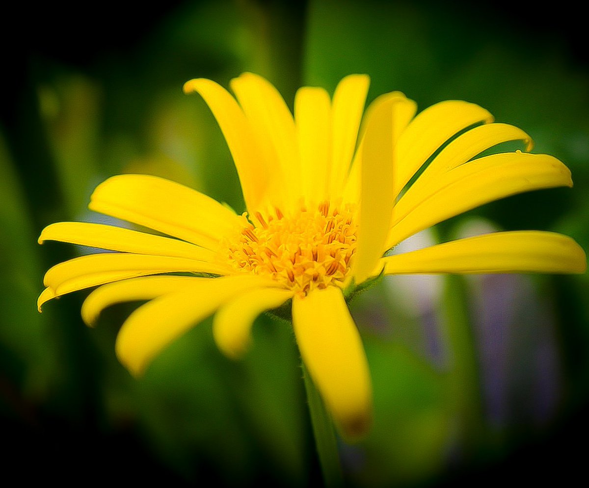 M.Müller tweet media