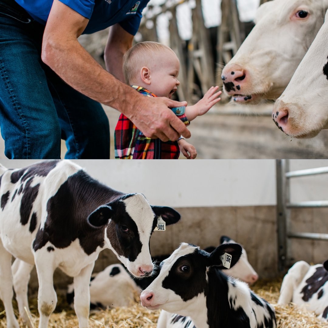 Guess what month it is? <a href="/DairyFarmersPEI/">Dairy Farmers of PEI</a> <a href="/ADL_PEI/">ADL_PEI</a> #celebrateourfarmers #celebrateourfood #WorldMilkDay