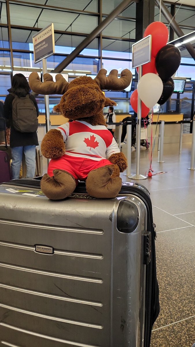 Maddie Morris tweet media