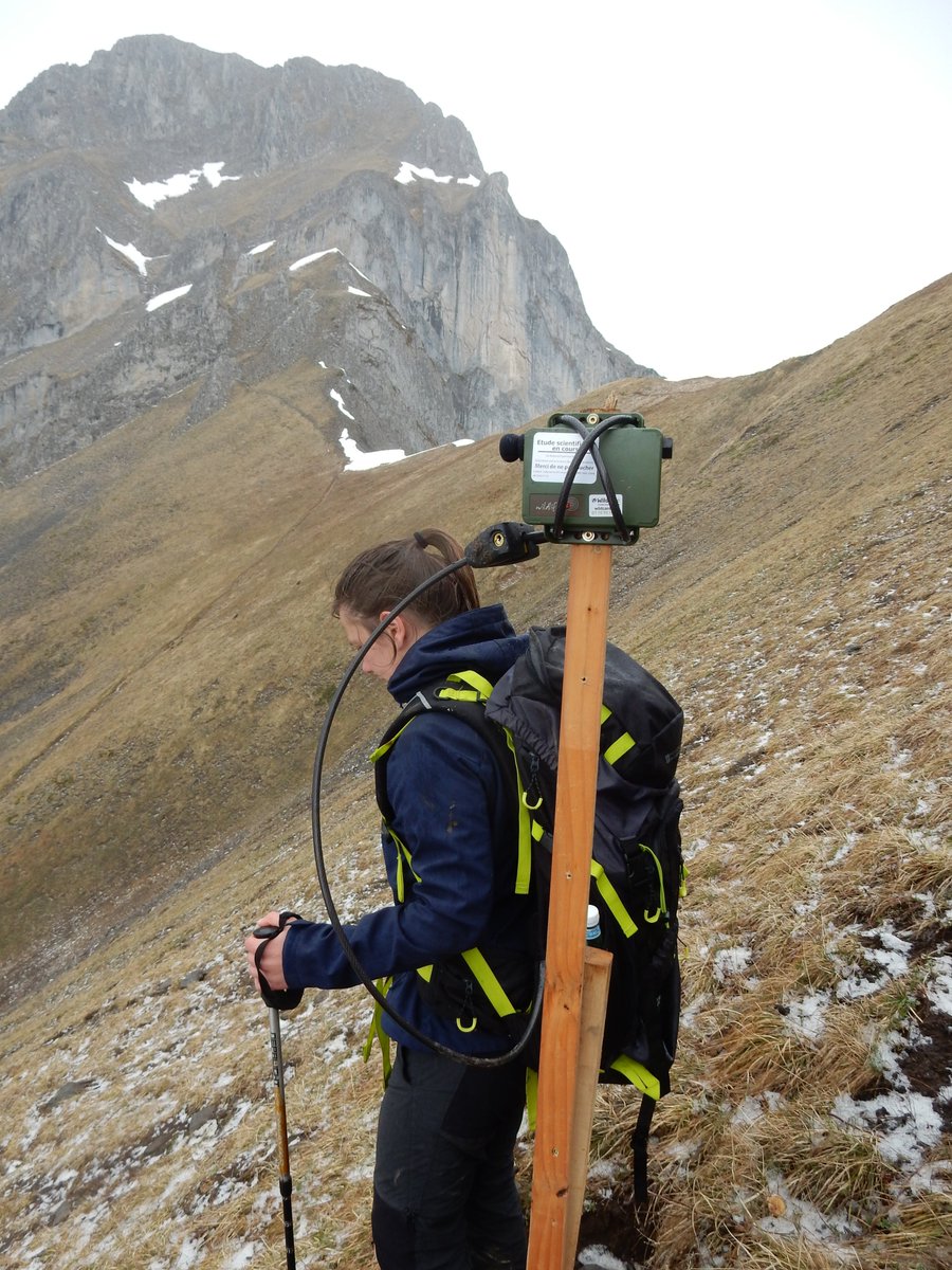 Desjonq's tweet photo. I'm excited to officially be back in France for a postdoc at the @EcologieAlpine with @Wil_Thuiller. I'm getting my ears out of the water as we are setting up a #PassiveAcousticMonitoring program on the @ObsOrchamp altitudinal gradients. Stay tuned for some cool mountain sounds! https://t.co/edYNfGmxbc