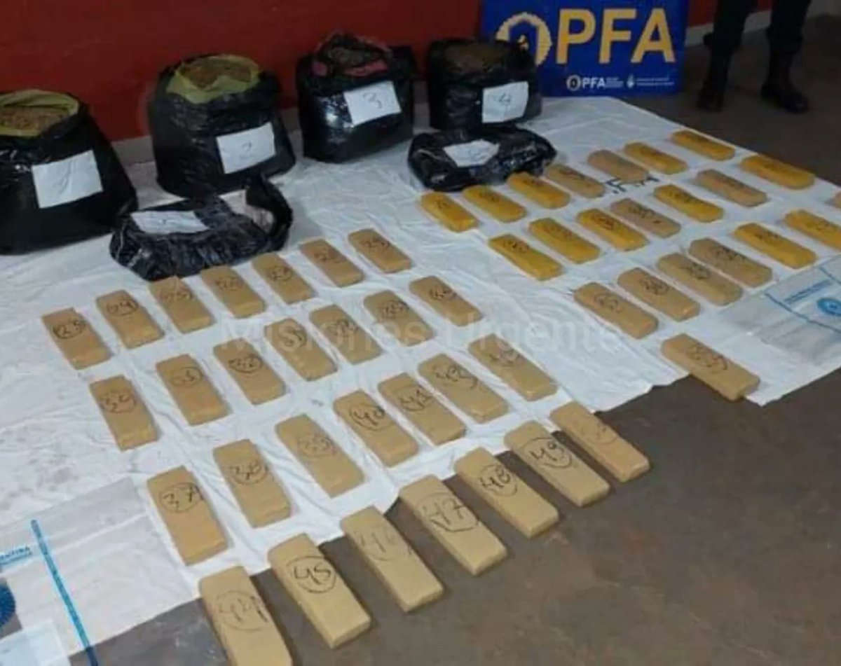 #narcotrafico | SECUESTRO DE MARIHUANA EN RUTA 12

📍 #PuertoPiray #Misiones

👮‍♀️👮‍♂️ <a href="/policiafederal/">Polícia Federal</a> secuestro 75 kg de marihuana durante un procedimiento en la Ruta. La droga estaba compactada en forma de ladrillos y otra parte dispuesta en bolsas. 2 detenidos 

#PFA #polícia