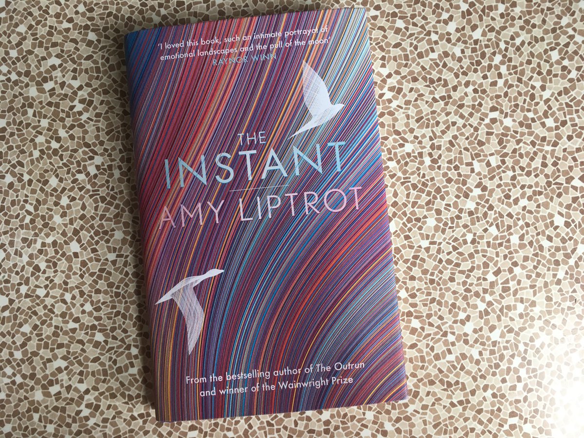 RachelENewsome's tweet photo. I could absolutely relate to @amy_may 's beautifully rendered anatomy of falling in love & breaking up over one long summer. It seems fitting that she never did find any racoons in the city where she spent it #theinstant #amreading https://t.co/4n5sYfWBFi