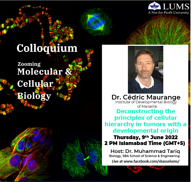lab_tariq's tweet photo. We are pleased to have Dr. Cedric Maurange from Institute of Developmental Biology Marseille in #zoomingMCB Colloquium. He will talk about "Deconstructing principles of cellular hierarchy in tumors with developmental origin" on Thursday 9th June at 2PM Pakistan time. https://t.co/PPki2eLXHk
