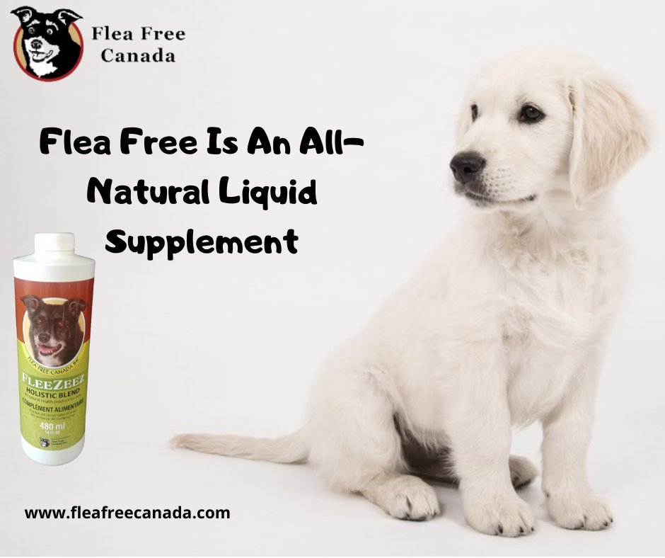 Flea Free Canada tweet media