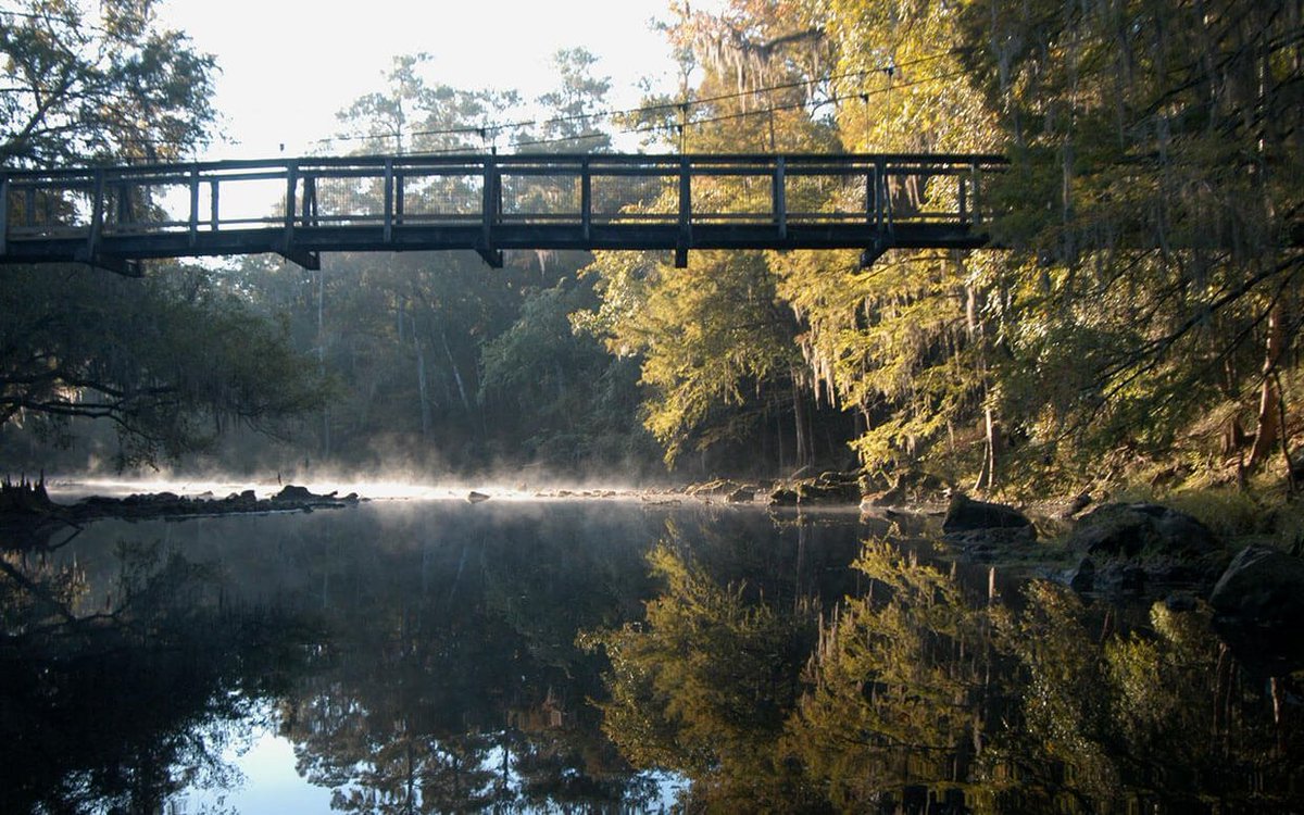 mocando's tweet photo. This summer, Florida residents with a LIBRARY CARD can visit our State Parks for FREE! You will need to check out a pass from your local library. Passes are limited. See rules &amp; restrictions. https://t.co/7rXxscz2Pu https://t.co/fcDTGKhEmi