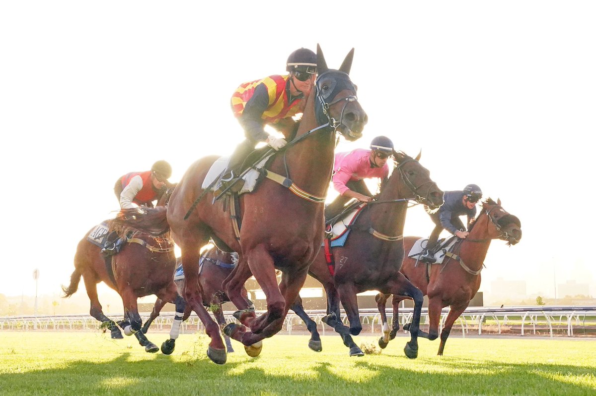 Racing Victoria (@racingvictoria) on Twitter photo Congratulations to Scott Barbour from the <a href="/Racing__Photos/">Racing Photos</a> team for placing Runner Up in the Professional category in the 2022 Women in Sport Photo Action Awards for his image of <a href="/jamieleekah07/">Jamie lee Melham</a> riding Nature Strip!
#WISPAA | <a href="/auswomensport/">Women Sport Australia</a> Congratulations to Scott Barbour from the <a href="/Racing__Photos/">Racing Photos</a> team for placing Runner Up in the Professional category in the 2022 Women in Sport Photo Action Awards for his image of <a href="/jamieleekah07/">Jamie lee Melham</a> riding Nature Strip!
#WISPAA | <a href="/auswomensport/">Women Sport Australia</a>