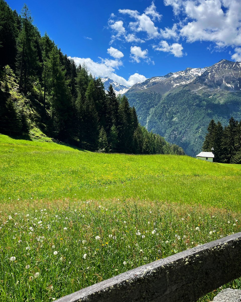 MeesClausing's tweet photo. ‘Different view, same goal’ 🤩 #sterkerworden #fysieketraining #alpineskiën #voorbereidinginvollegang #basisNL #KvGAthleteDevelopment #Woerden https://t.co/qNDHH9kfjd