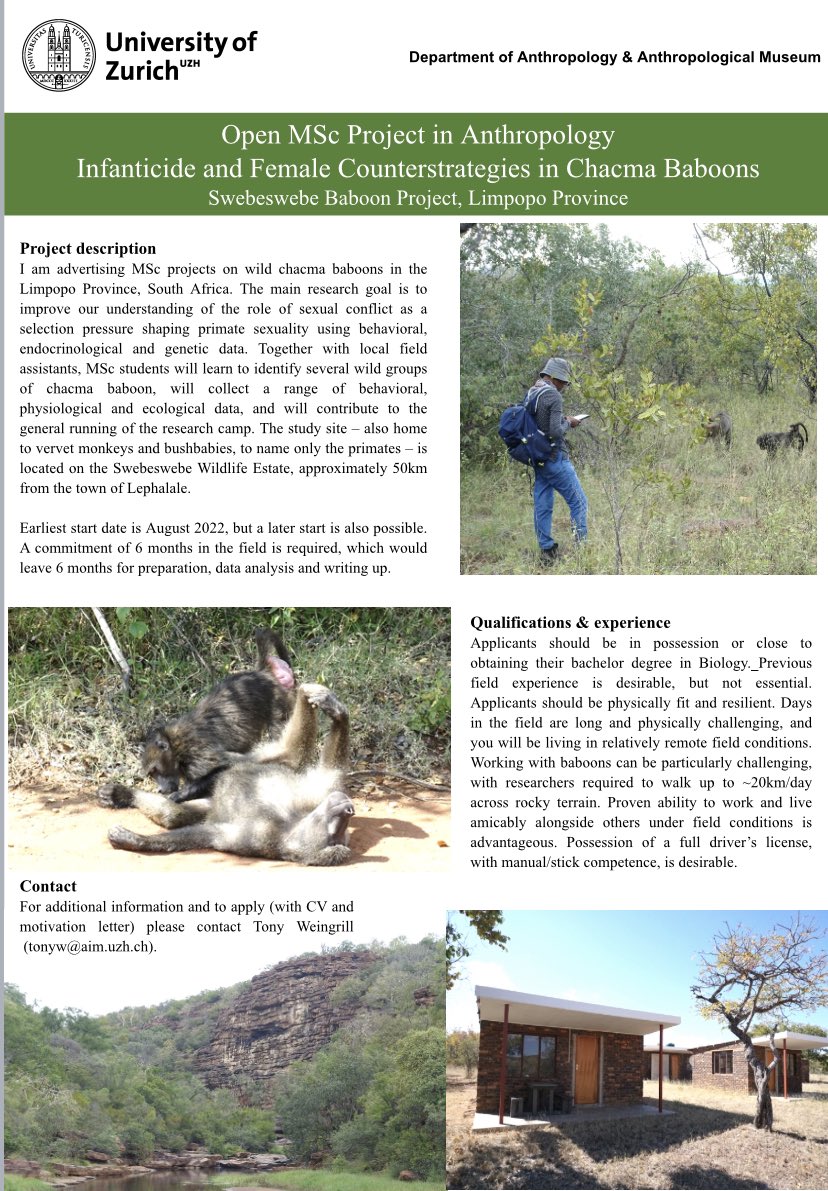 Great chance for an MSc from @UZH_Science with field work on the wonderful baboons in Limpopo, South Africa with @rich_mcfarland and Tony Weingrill