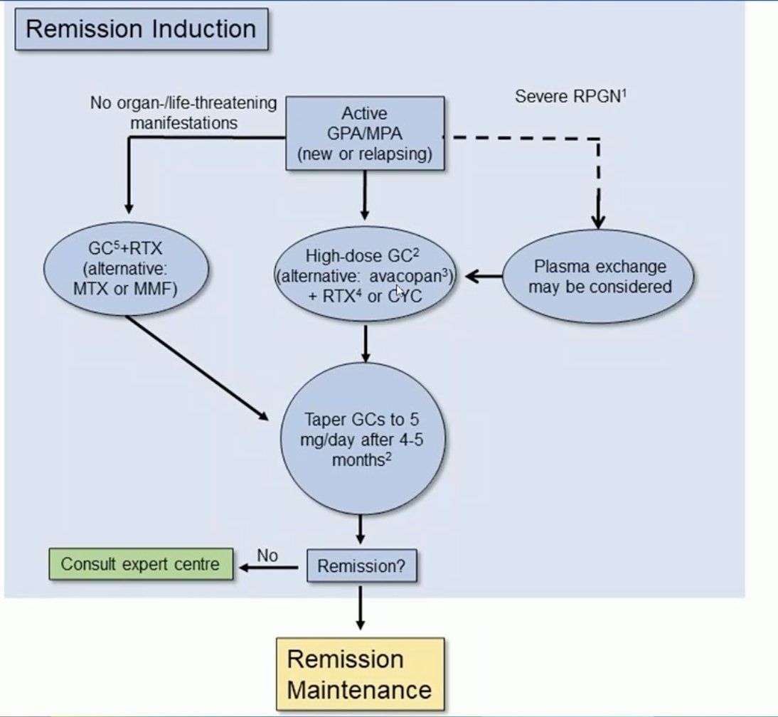 #EULAR2022 
EULAR Recommendations session
New Overarching Principle https://t.co/TsRAPpA1Hs